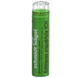 SN echinacea angustifolia gran 9 CH 4 g