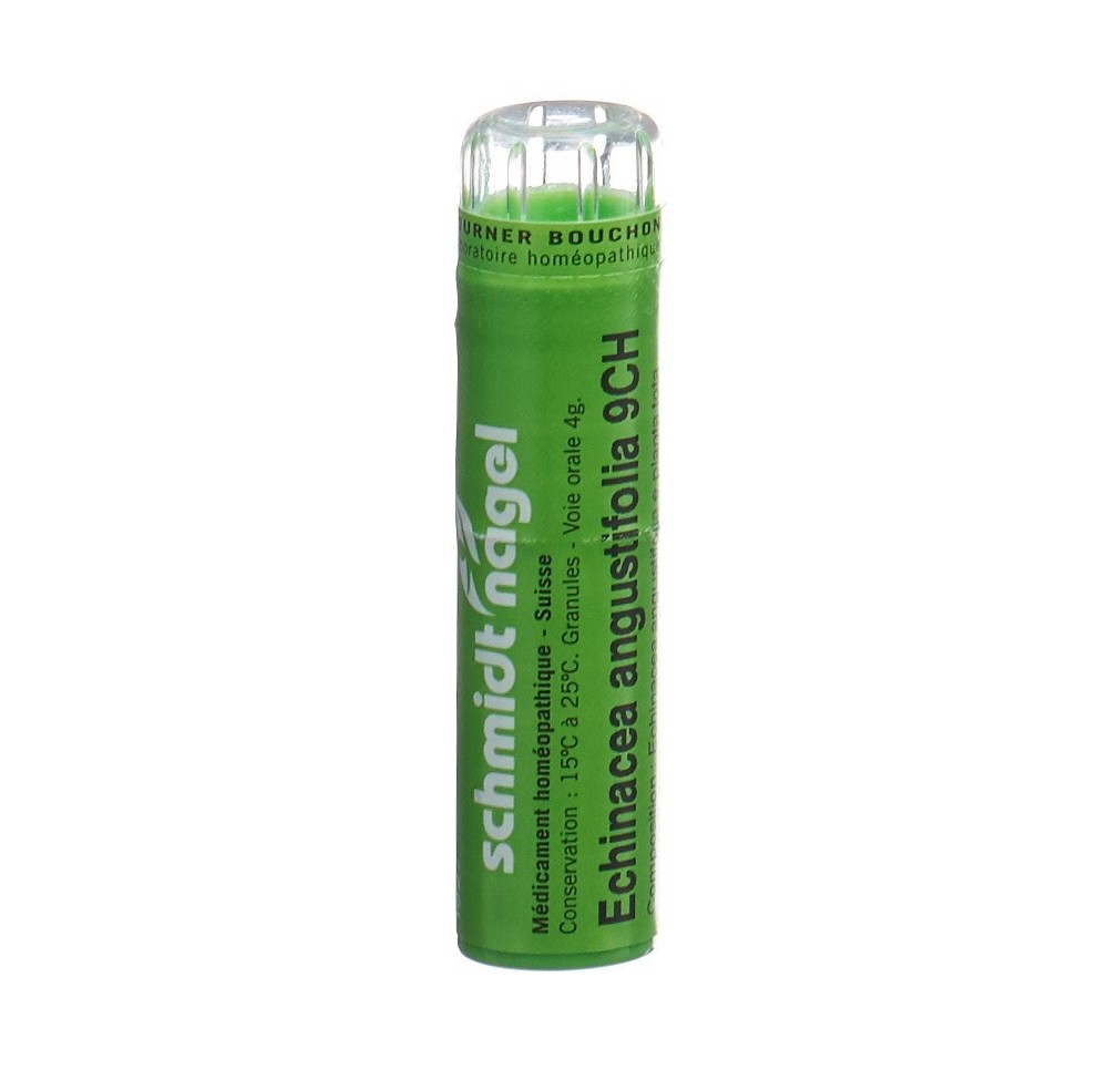 SN echinacea angustifolia gran 9 CH 4 g