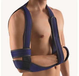 BORT OMOBASIC selon Gilchrist Gr2 bleu
