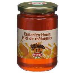 MORGA miel châtaigne étranger verre 500 g