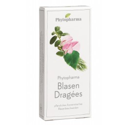 PHYTOPHARMA dragées vessie 60 pce