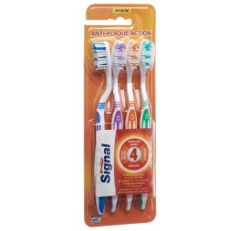 SIGNAL brosse dents medium 4 family 4 pce