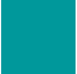 ELSA housse pour oreiller 70x11cm velours turquoi