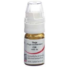 OMIDA thuja glob 30 C a doseur 4 g