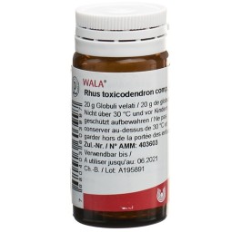 WALA rhus toxicodendron comp glob fl 20 g
