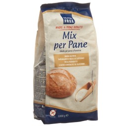 NUTRIFREE Mix pain mélange farine sans glut 1000 g