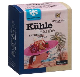 SONNENTOR pot thé pyramides frai-ginge BIO 16 pce