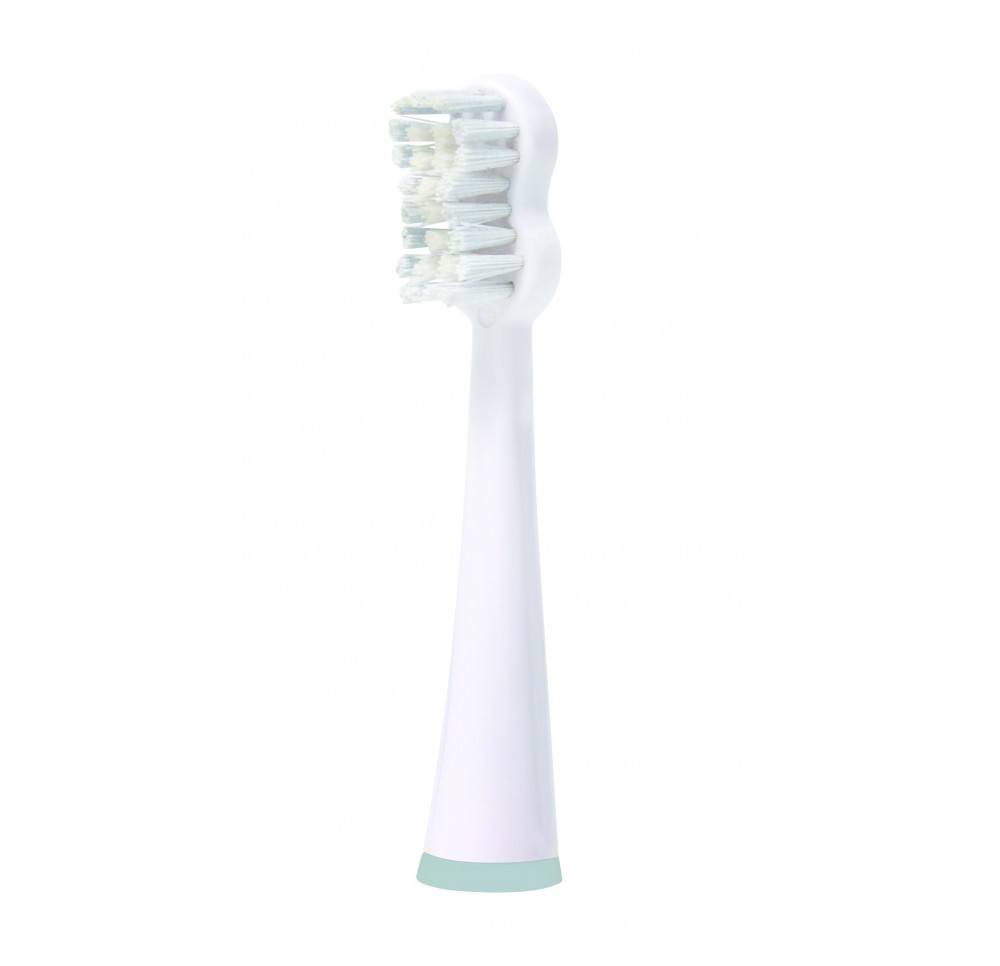 EDEL+WHITE Sonic Whi têtes brosse dents SG8+ 2 pce