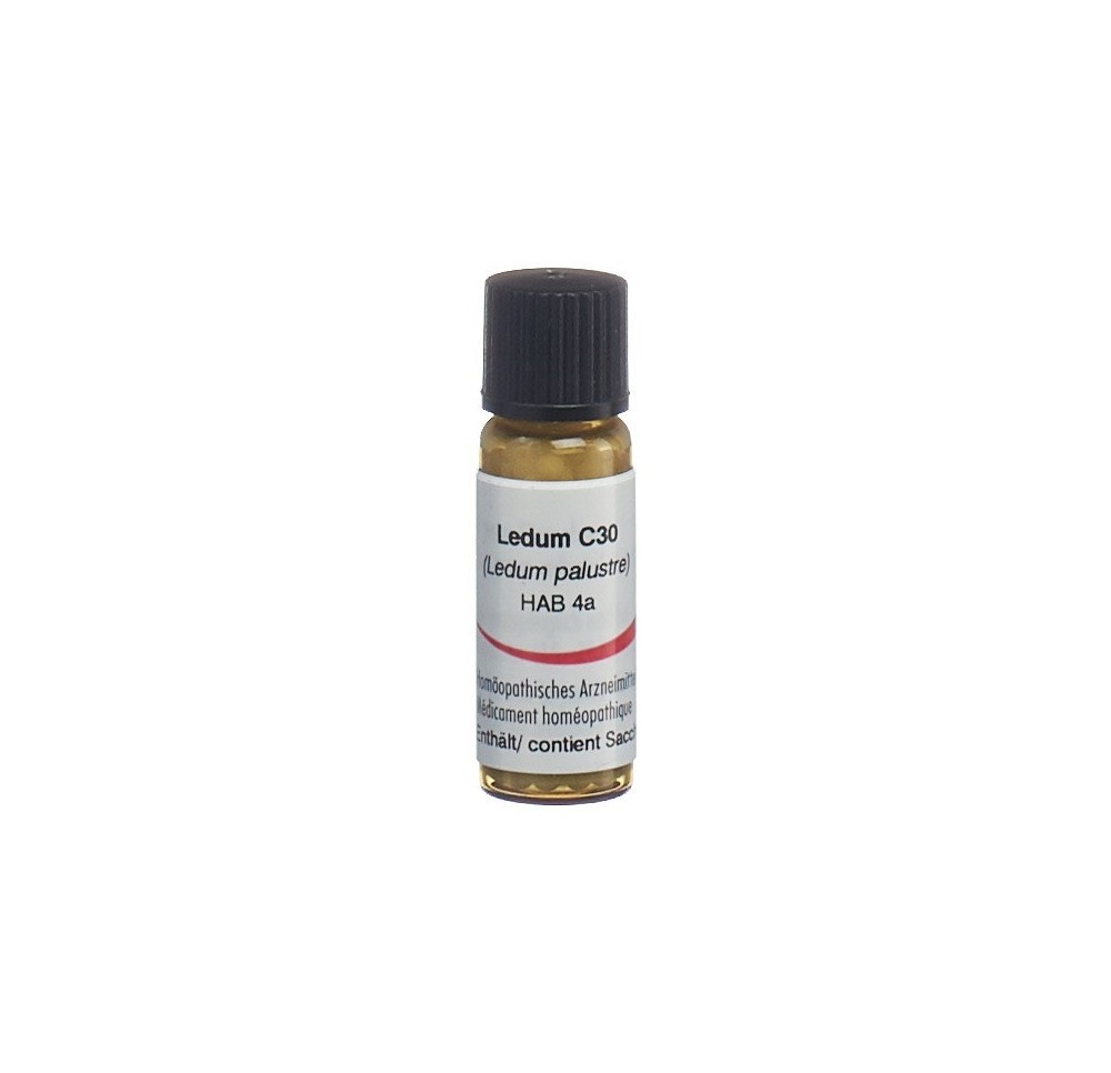 OMIDA ledum glob 30 C 2 g