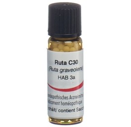 OMIDA ruta glob 30 C 2 g