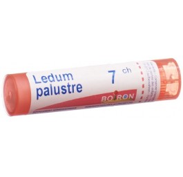 BOIRON ledum palustre gran 7 CH 4 g