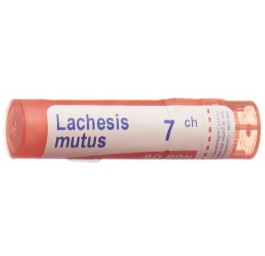 BOIRON lachesis mutus gran 7 CH 4 g