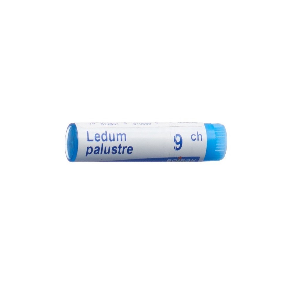 BOIRON ledum palustre glob 9 CH 1 dos