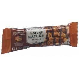 TASTE OF NATURE barre Protein Peanut 40 g