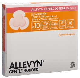 ALLEVYN GB MULTISITE pans mouss 17.1x17.9cm 10 pce