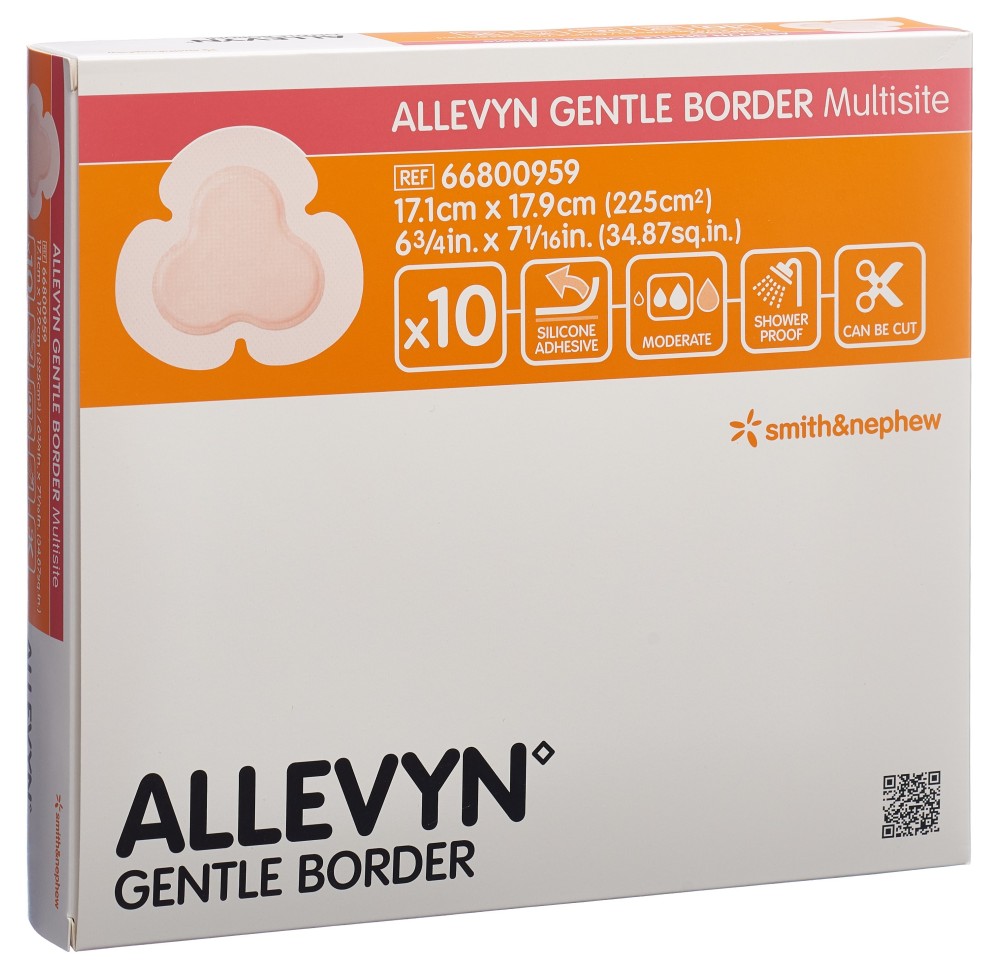 ALLEVYN GB MULTISITE pans mouss 17.1x17.9cm 10 pce