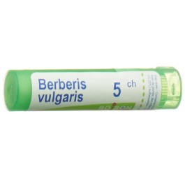 BOIRON berberis vulgaris gran 5 CH 4 g