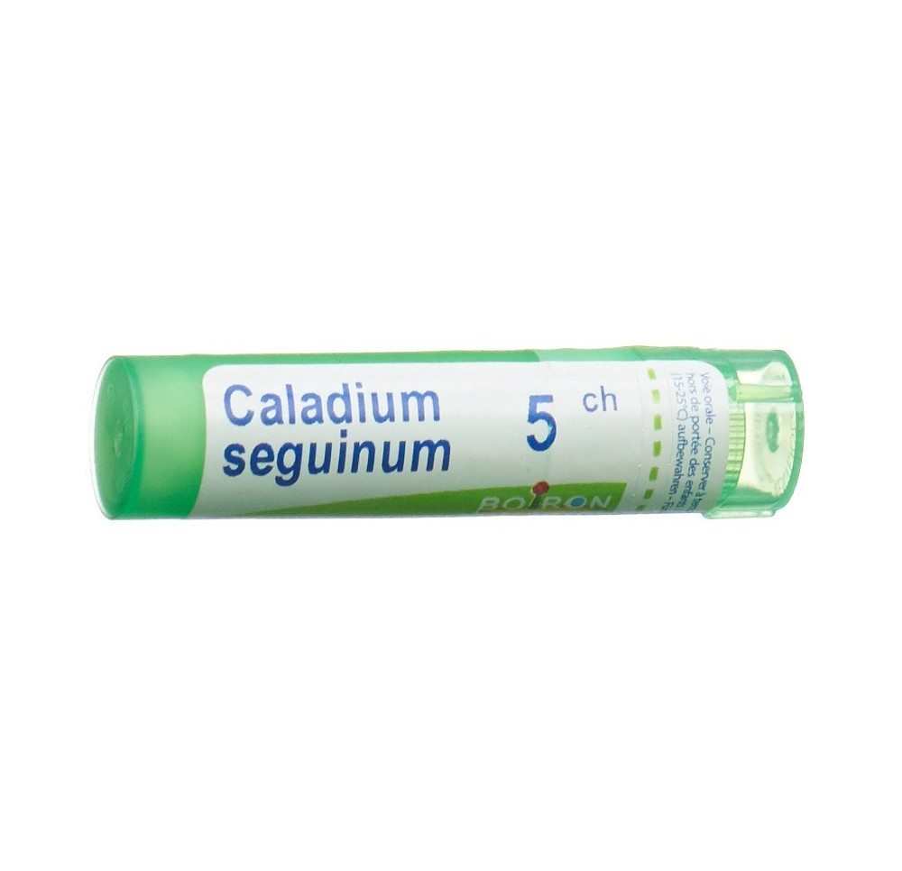 BOIRON caladium seguinum gran 5 CH 4 g