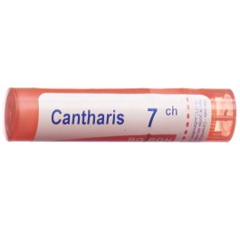 BOIRON cantharis gran 7 CH 4 g