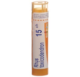 BOIRON rhus toxicodendron gran 15 CH 4 g