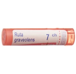 BOIRON ruta graveolens gran 7 CH 4 g