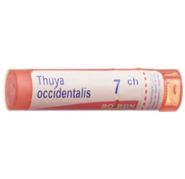 BOIRON thuya occidentalis gran 7 CH 4 g
