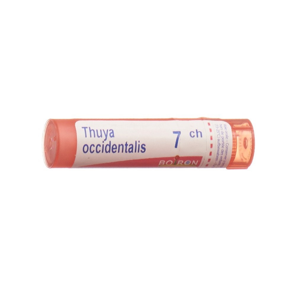 BOIRON thuya occidentalis gran 7 CH 4 g