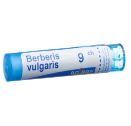 BOIRON berberis vulgaris gran 9 CH 4 g
