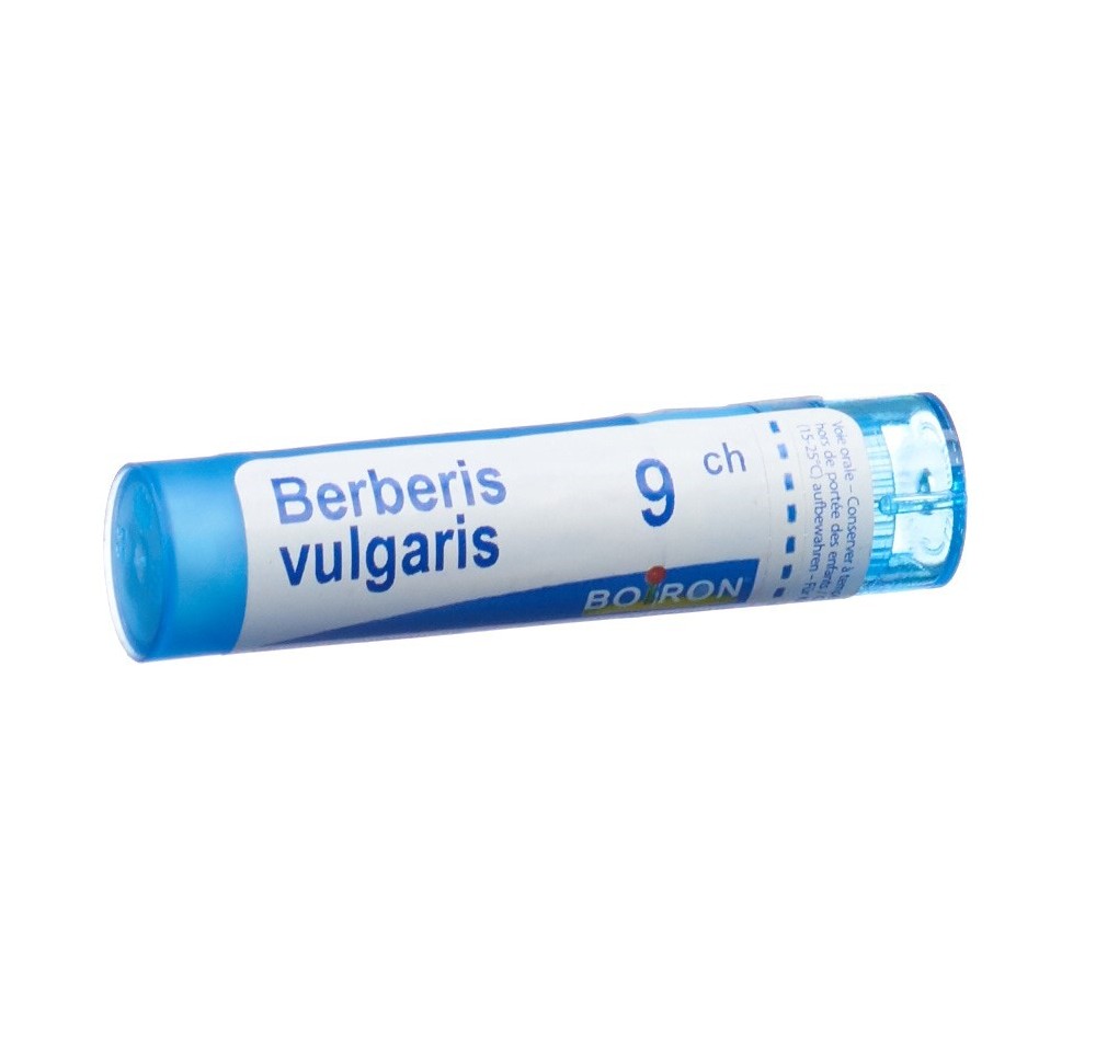 BOIRON berberis vulgaris gran 9 CH 4 g