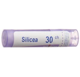 BOIRON silicea gran 30 CH 4 g