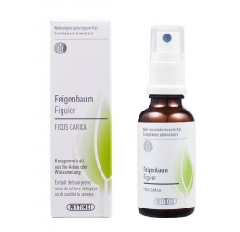 PHYTOMED Extrait bourgeon Figuier spr 30 ml