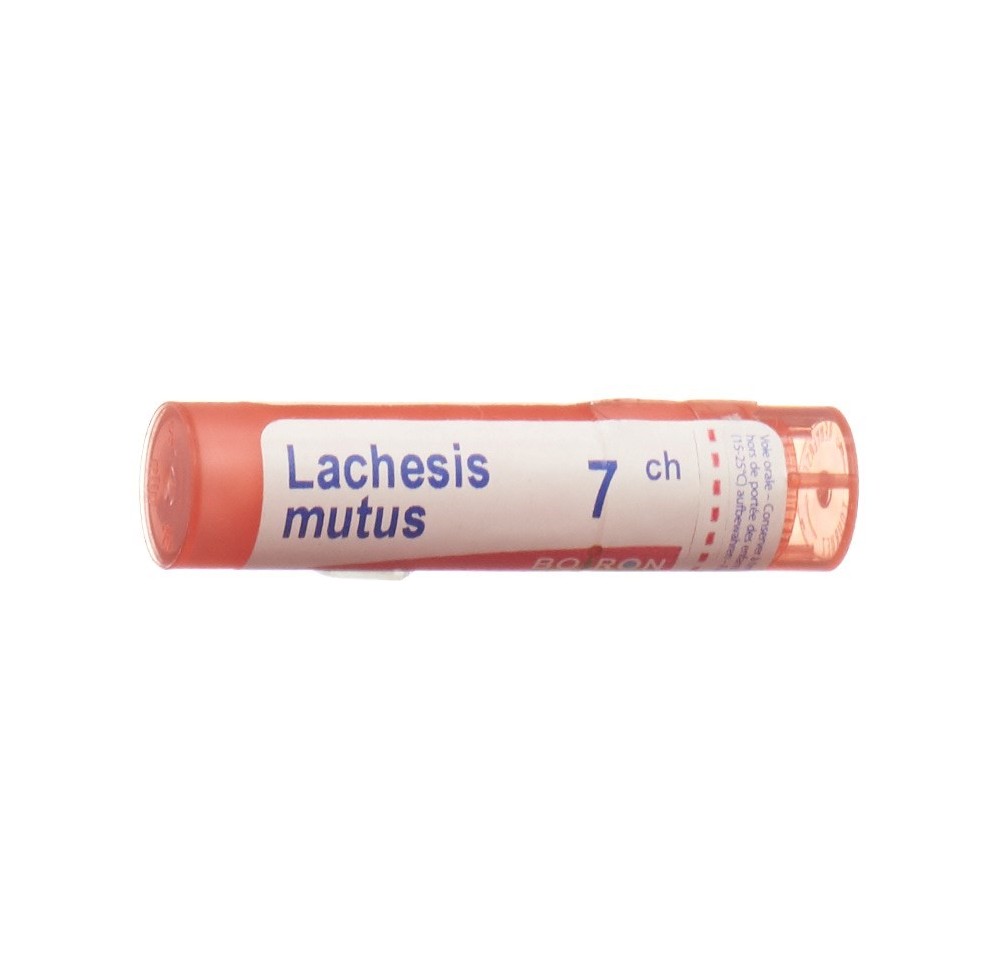 BOIRON lachesis mutus gran 7 CH 4 g