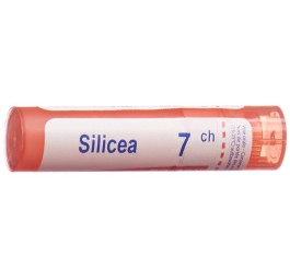 BOIRON silicea gran 7 CH 4 g
