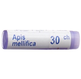 BOIRON apis mellifica glob 30 CH 1 dos