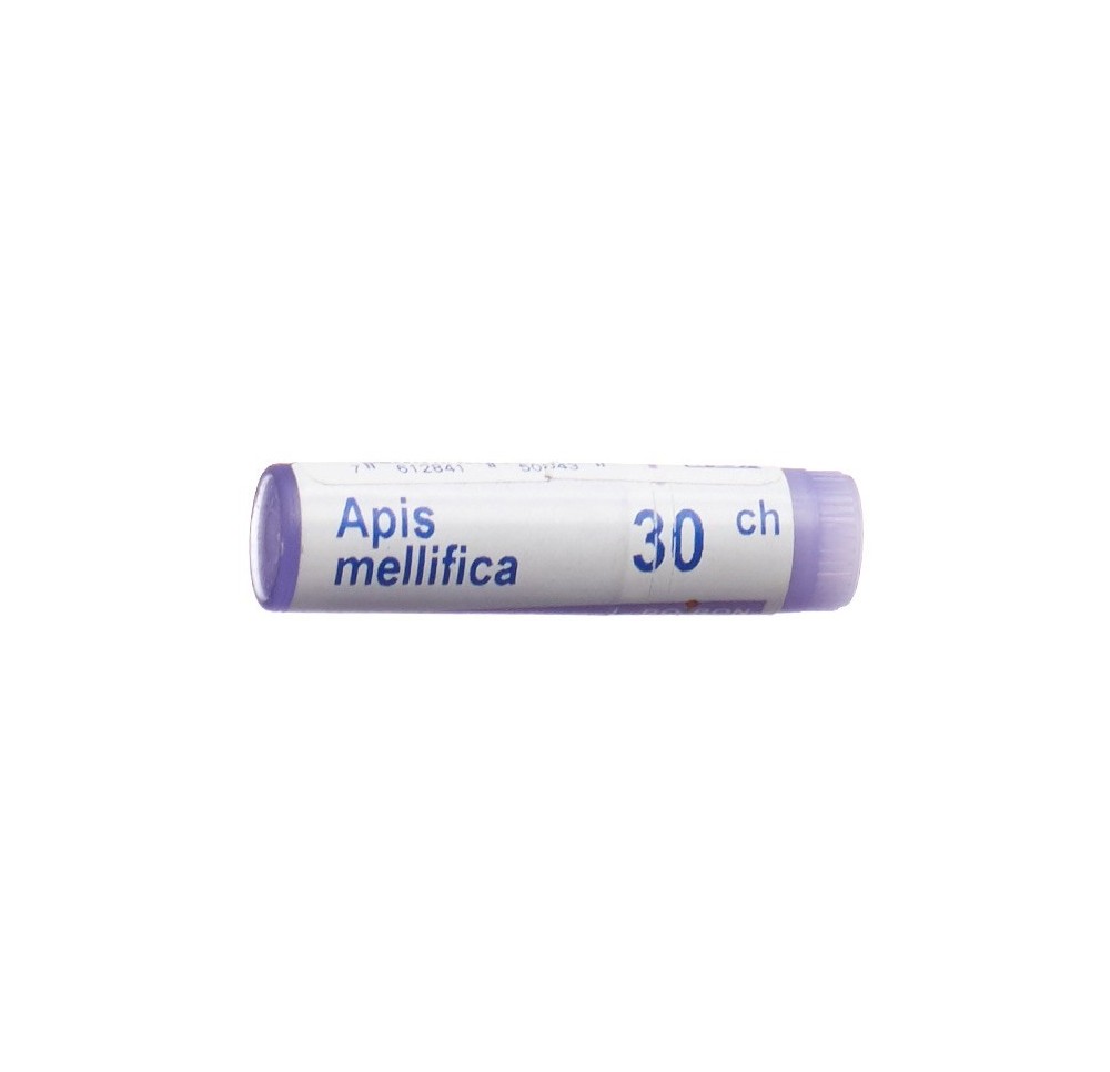 BOIRON apis mellifica glob 30 CH 1 dos