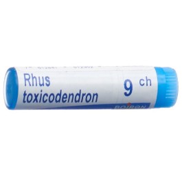 BOIRON rhus toxicodendron glob 9 CH 1 dos
