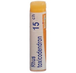 BOIRON rhus toxicodendron glob 15 CH 1 dos