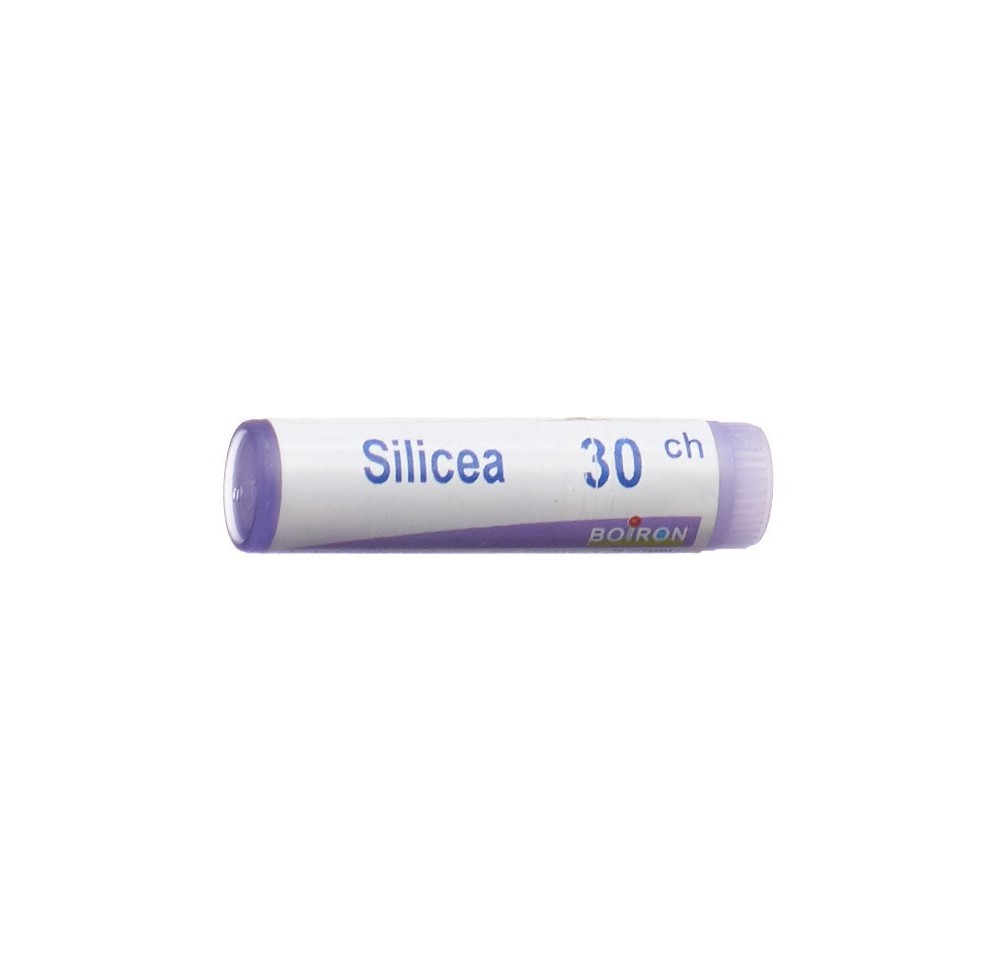 BOIRON silicea glob 30 CH 1 dos