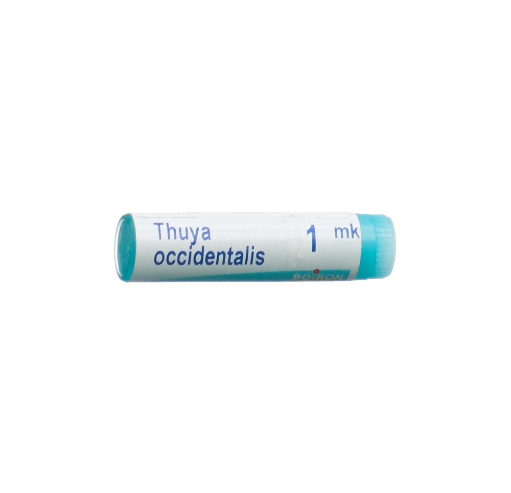 BOIRON thuya occidentalis glob MK 1 dos