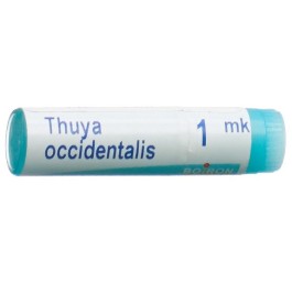 BOIRON thuya occidentalis glob MK 1 dos