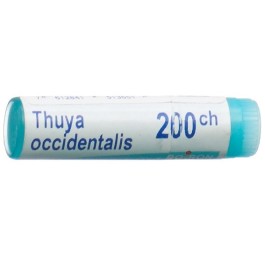 BOIRON thuya occidentalis glob 200 CH 1 dos