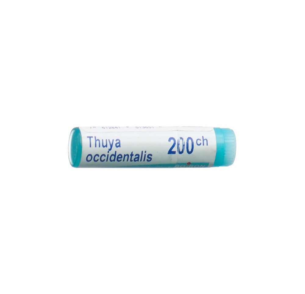 BOIRON thuya occidentalis glob 200 CH 1 dos