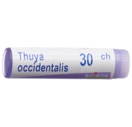 BOIRON thuya occidentalis glob 30 CH 1 dos