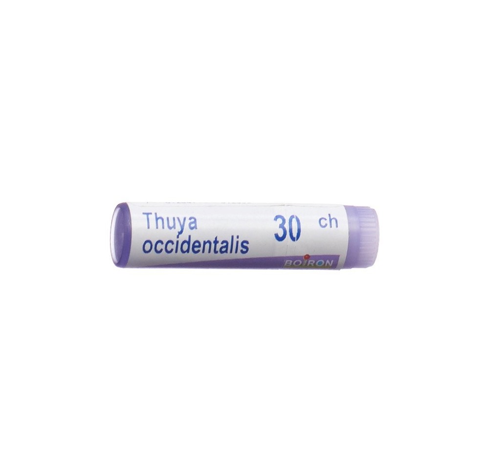 BOIRON thuya occidentalis glob 30 CH 1 dos