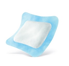 VLIWASORB Pro pansemement 22x32cm 10 pce