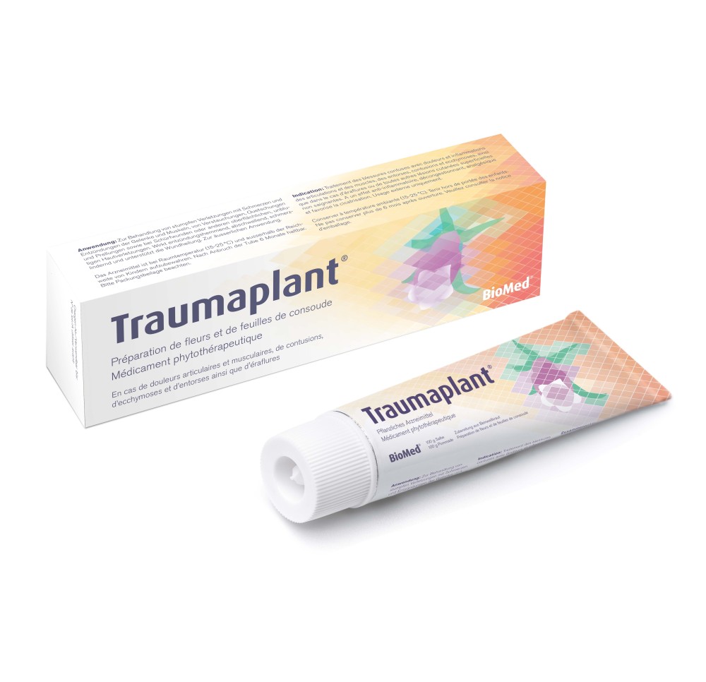 TRAUMAPLANT ong tb 100 g TRAUMAPLANT ong tb 100 g