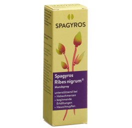 SPAGYROS ribes nigrum spray buccal 1 D 30 ml