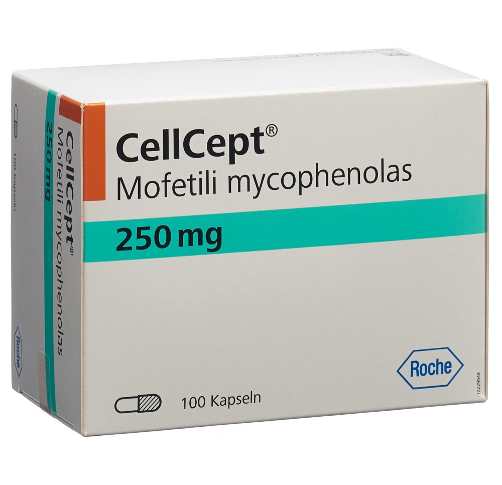 CELLCEPT caps 250 mg 100 pce CELLCEPT caps 250 mg 100 pce