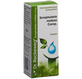 RECKEWEG R17 Scrophularia nod Comp. gouttes 50 ml