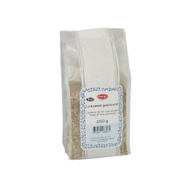 MORGA graines de lin concassées bio 250 g